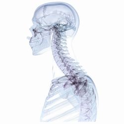 Best Cancer Specialist In Lucknow, best oncologist in lucknow, best cancer doctor in lucknow