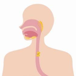 Best Cancer Specialist In Lucknow, best oncologist in lucknow, best cancer doctor in lucknow