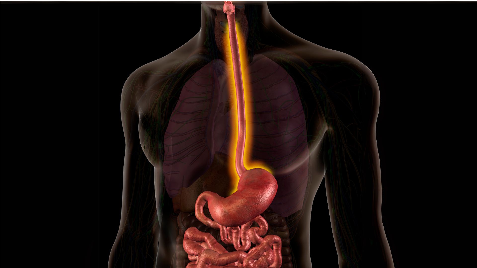 Silent Killer: Know the Signs | Esophageal Cancer